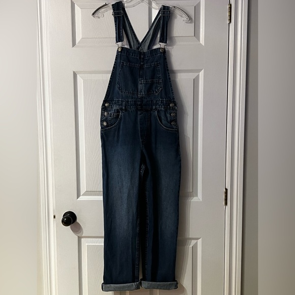 We The Free Pants - We The Free Indigo Denim Overalls